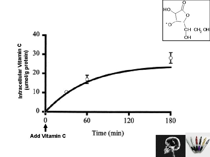Intracellular Vitamin C (umol/g protein) Vit C Vitamin C? ? ? N Add Vitamin