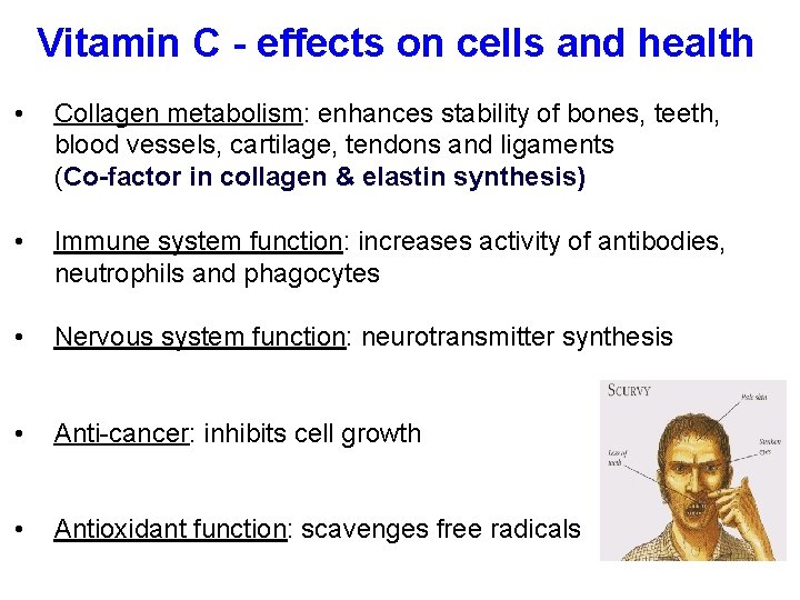 Vitamin C - effects on cells and health • Collagen metabolism: enhances stability of