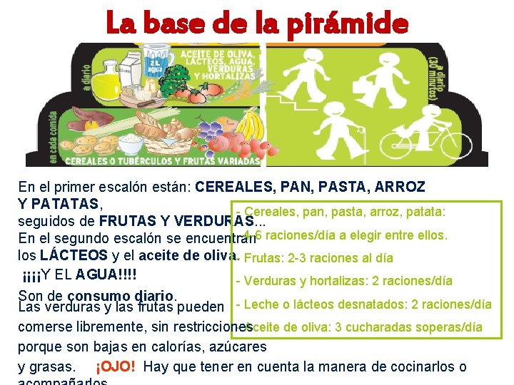 La base de la pirámide En el primer escalón están: CEREALES, PAN, PASTA, ARROZ