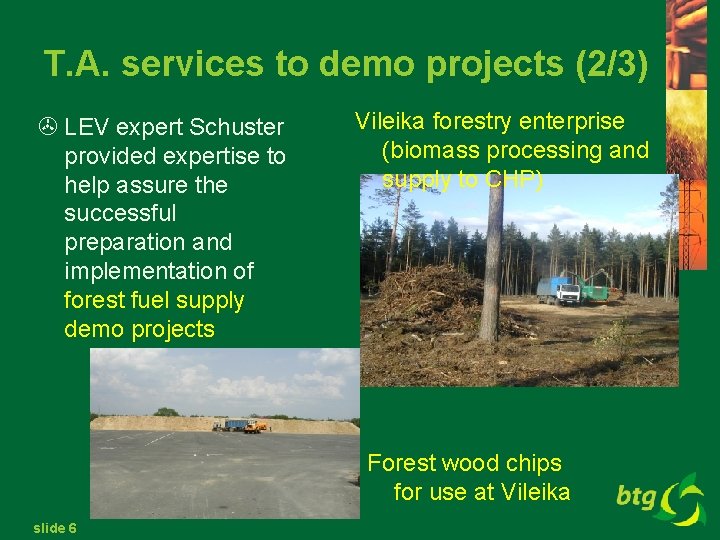 T. A. services to demo projects (2/3) > LEV expert Schuster provided expertise to