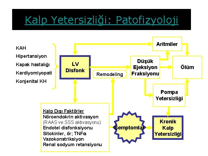 Kalp Yetersizliği: Patofizyoloji Aritmiler KAH Hipertansiyon Kapak hastalığı Kardiyomiyopati LV Disfonk Remodeling Düşük Ejeksiyon