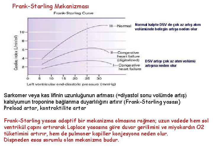 Frank-Starling Mekanizması Normal kalpte DSV de çok az artış atım volümünde belirgin artışa neden