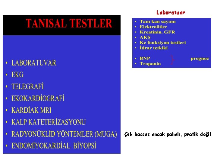 Laboratuar Çok hassas ancak pahalı, pratik değil 