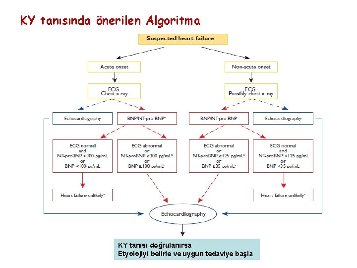 KY tanısında önerilen Algoritma KY tanısı doğrulanırsa Etyolojiyi belirle ve uygun tedaviye başla 