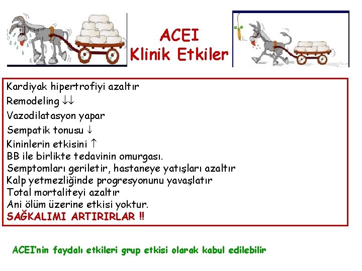 ACEI Klinik Etkiler Kardiyak hipertrofiyi azaltır Remodeling Vazodilatasyon yapar Sempatik tonusu Kininlerin etkisini BB