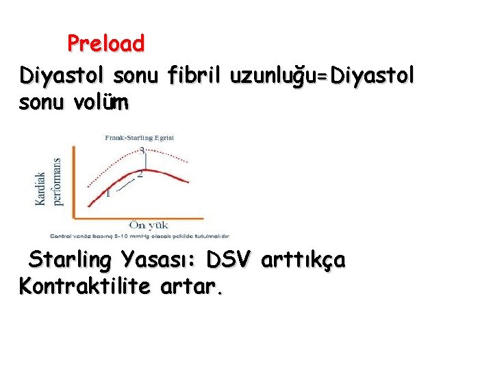 Preload Diyastol sonu fibril uzunluğu=Diyastol sonu volüm Starling Yasası: DSV arttıkça Kontraktilite artar. 