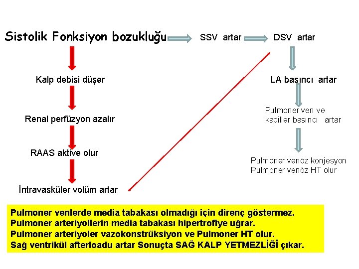 Sistolik Fonksiyon bozukluğu SSV artar DSV artar Kalp debisi düşer LA basıncı artar Renal
