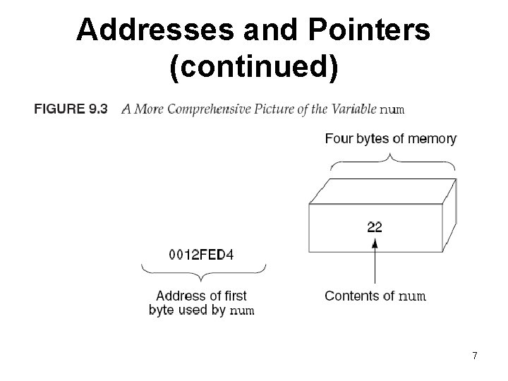 Addresses and Pointers (continued) 7 