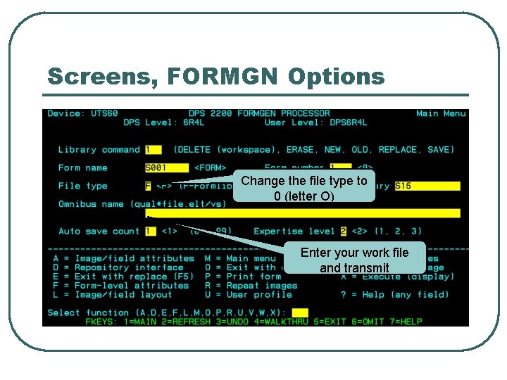 Screens, FORMGN Options Change the file type to 0 (letter O) Enter your work