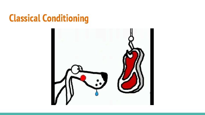 Classical Conditioning 