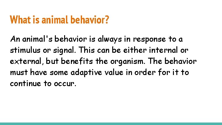 What is animal behavior? An animal's behavior is always in response to a stimulus