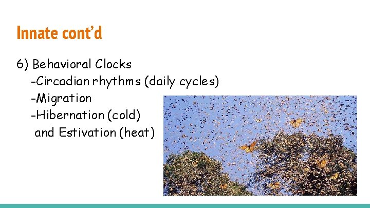Innate cont’d 6) Behavioral Clocks -Circadian rhythms (daily cycles) -Migration -Hibernation (cold) and Estivation
