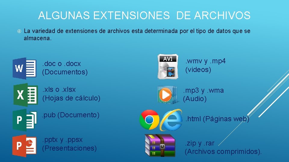 ALGUNAS EXTENSIONES DE ARCHIVOS La variedad de extensiones de archivos esta determinada por el