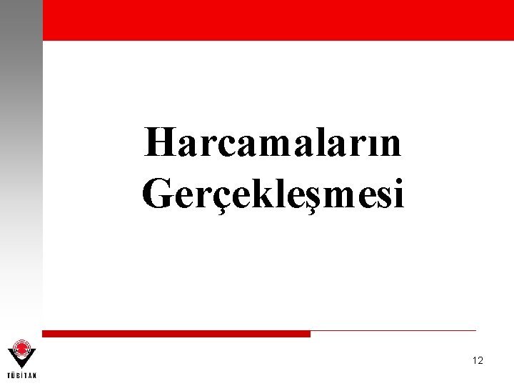 Harcamaların Gerçekleşmesi 12 