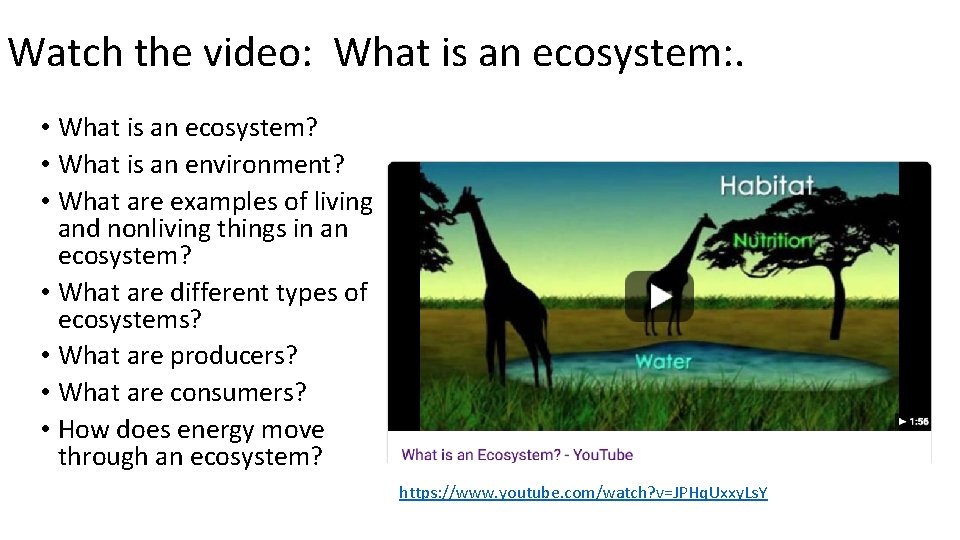 Watch the video: What is an ecosystem: . • What is an ecosystem? •