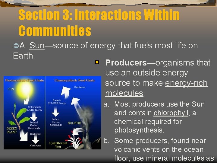 Section 3: Interactions Within Communities ÜA. Sun—source of energy that fuels most life on