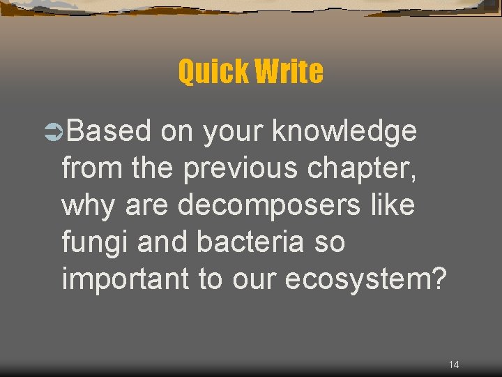 Quick Write ÜBased on your knowledge from the previous chapter, why are decomposers like