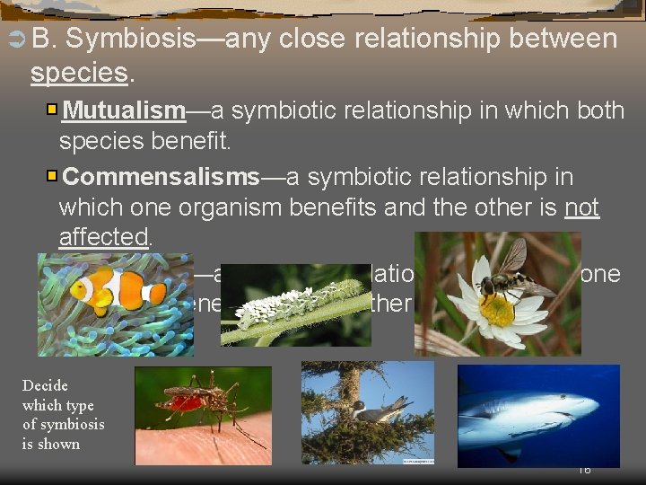 Ü B. Symbiosis—any close relationship between species. Mutualism—a symbiotic relationship in which both species
