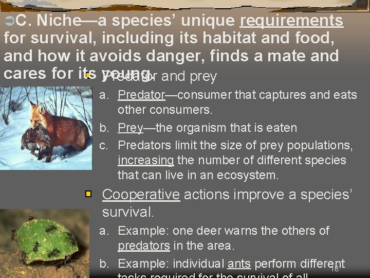 ÜC. Niche—a species’ unique requirements for survival, including its habitat and food, and how
