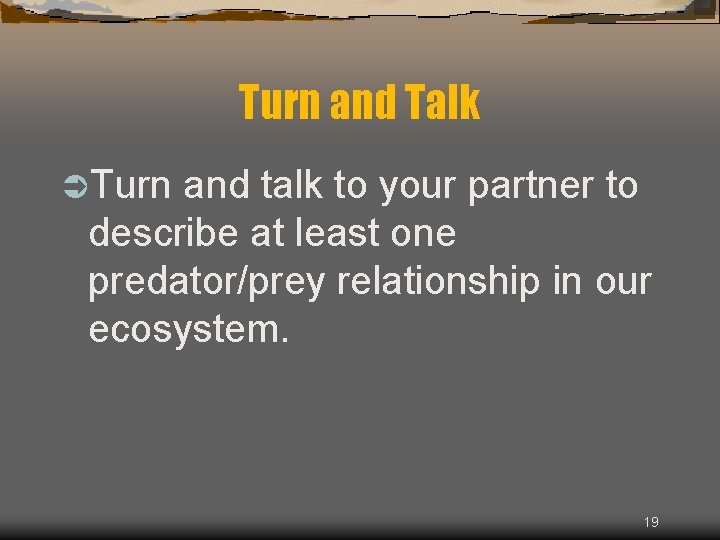 Turn and Talk ÜTurn and talk to your partner to describe at least one