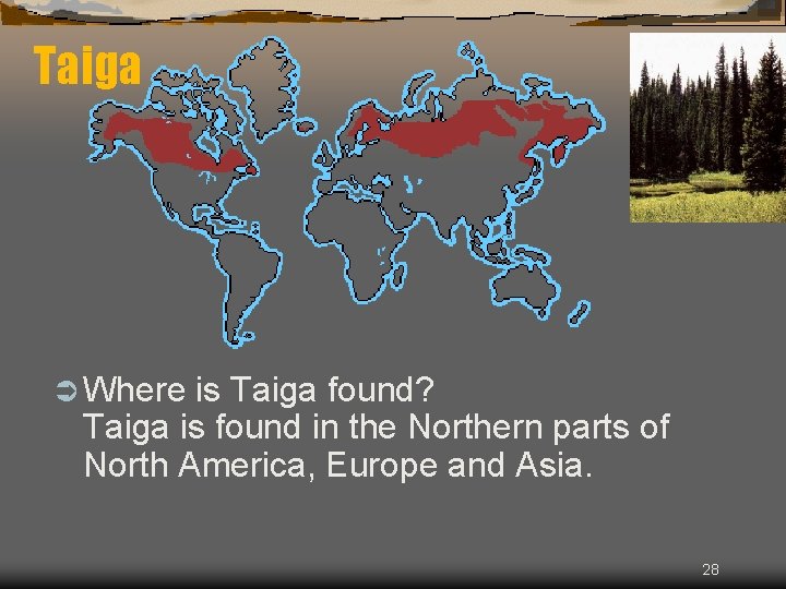 Taiga Ü Where is Taiga found? Taiga is found in the Northern parts of
