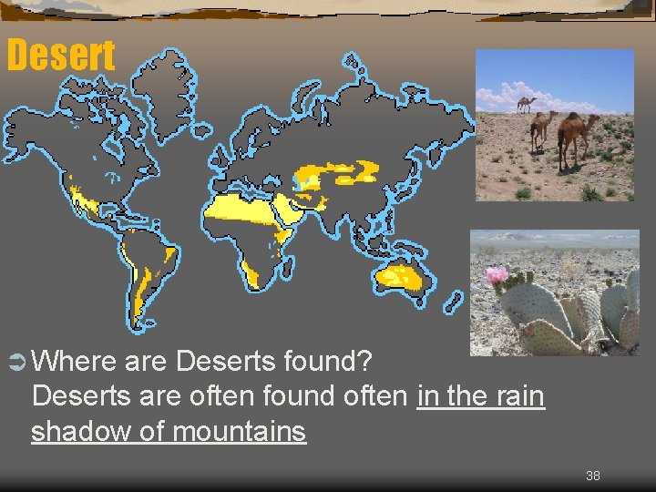 Desert Ü Where are Deserts found? Deserts are often found often in the rain