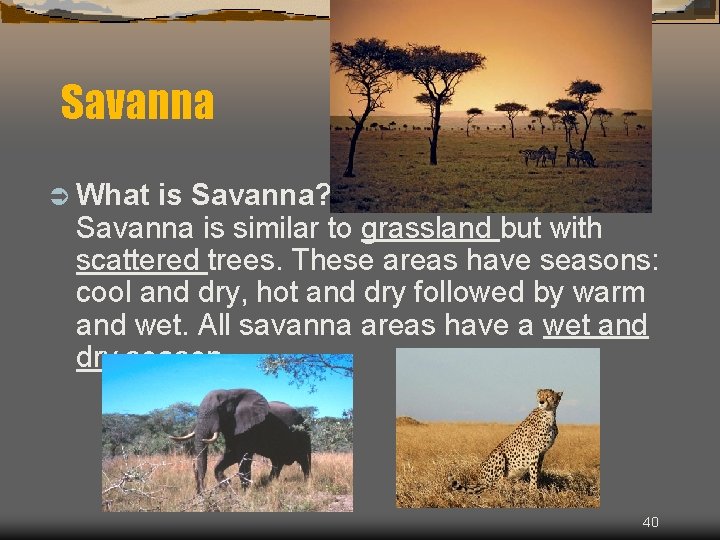 Savanna Ü What is Savanna? Savanna is similar to grassland but with scattered trees.