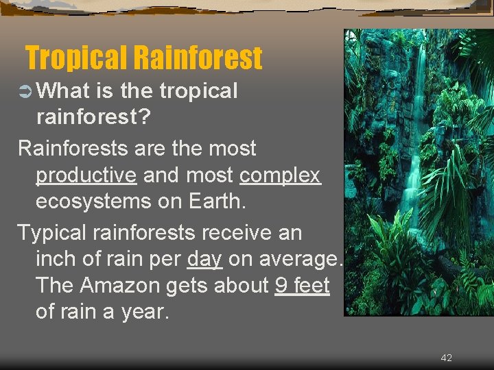 Tropical Rainforest Ü What is the tropical rainforest? Rainforests are the most productive and