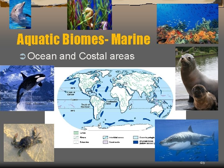 Aquatic Biomes- Marine Ü Ocean and Costal areas 46 