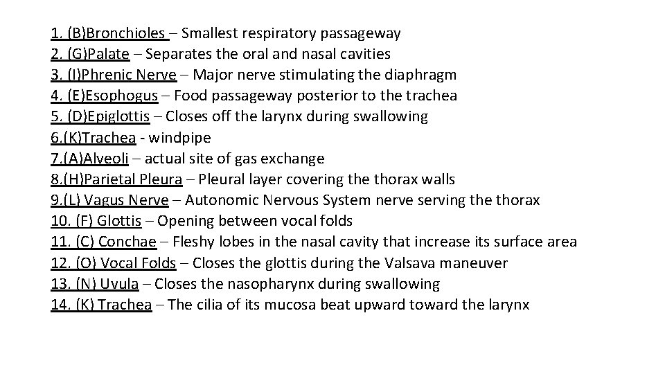 1. (B)Bronchioles – Smallest respiratory passageway 2. (G)Palate – Separates the oral and nasal