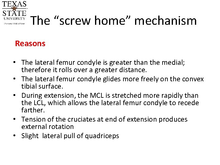 The “screw home” mechanism Reasons • The lateral femur condyle is greater than the The “screw home” mechanism Reasons • The lateral femur condyle is greater than the