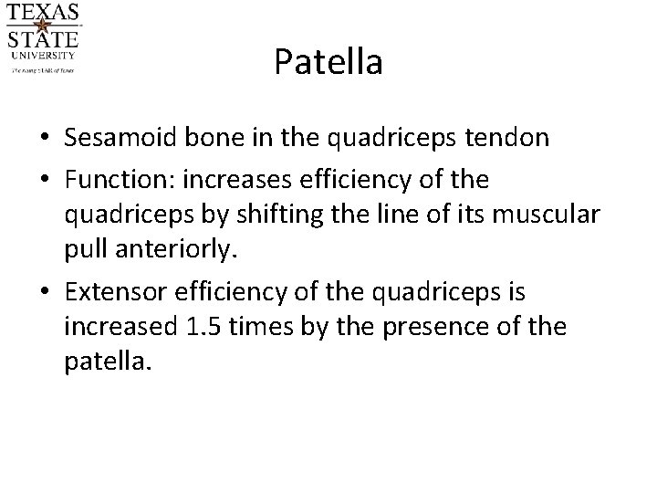 Patella • Sesamoid bone in the quadriceps tendon • Function: increases efficiency of the