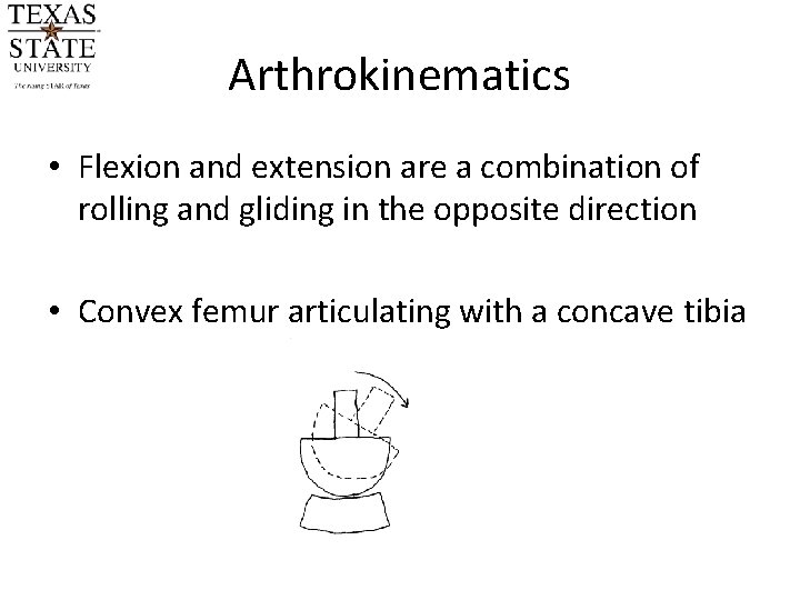 Arthrokinematics • Flexion and extension are a combination of rolling and gliding in the