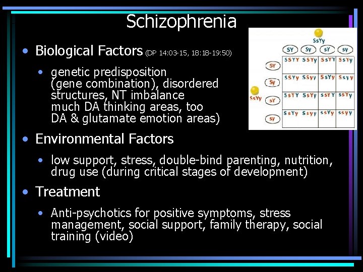 Schizophrenia • Biological Factors (DP 14: 03 -15, 18: 18 -19: 50) • genetic