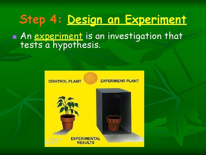 Step 4: Design an Experiment n An experiment is an investigation that tests a Step 4: Design an Experiment n An experiment is an investigation that tests a