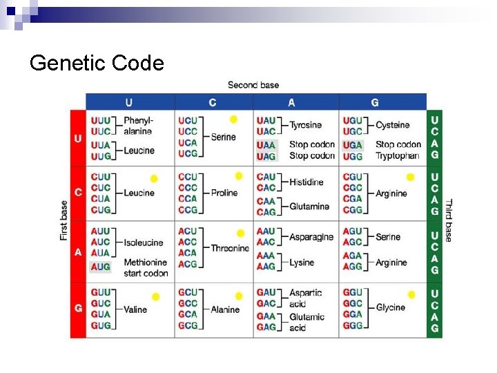 Genetic Code 
