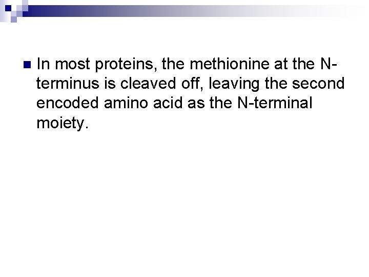 n In most proteins, the methionine at the Nterminus is cleaved off, leaving the