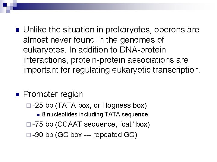 n Unlike the situation in prokaryotes, operons are almost never found in the genomes