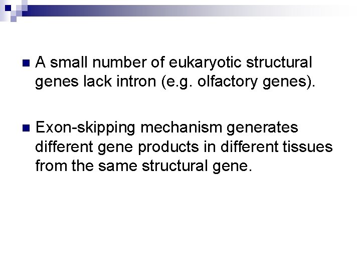 n A small number of eukaryotic structural genes lack intron (e. g. olfactory genes).