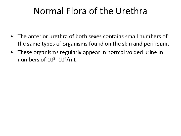 Normal Flora of the Urethra • The anterior urethra of both sexes contains small