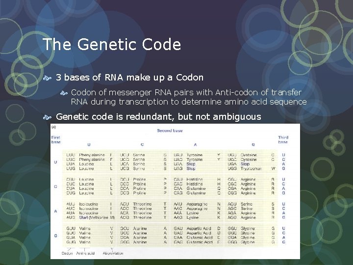 The Genetic Code 3 bases of RNA make up a Codon of messenger RNA