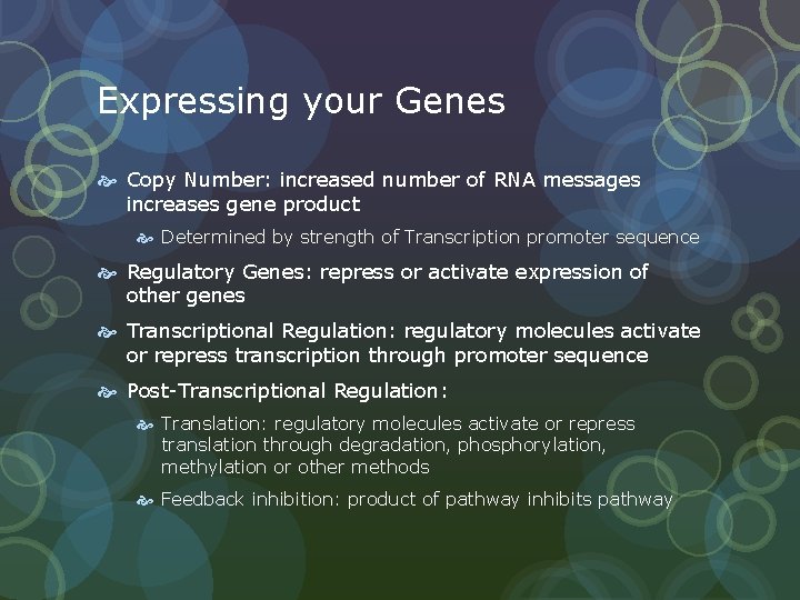 Expressing your Genes Copy Number: increased number of RNA messages increases gene product Determined