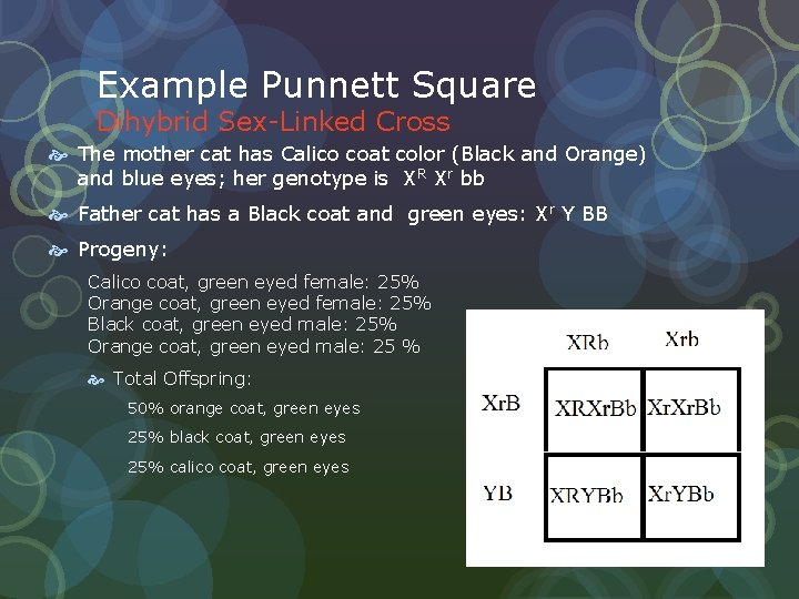Example Punnett Square Dihybrid Sex-Linked Cross The mother cat has Calico coat color (Black