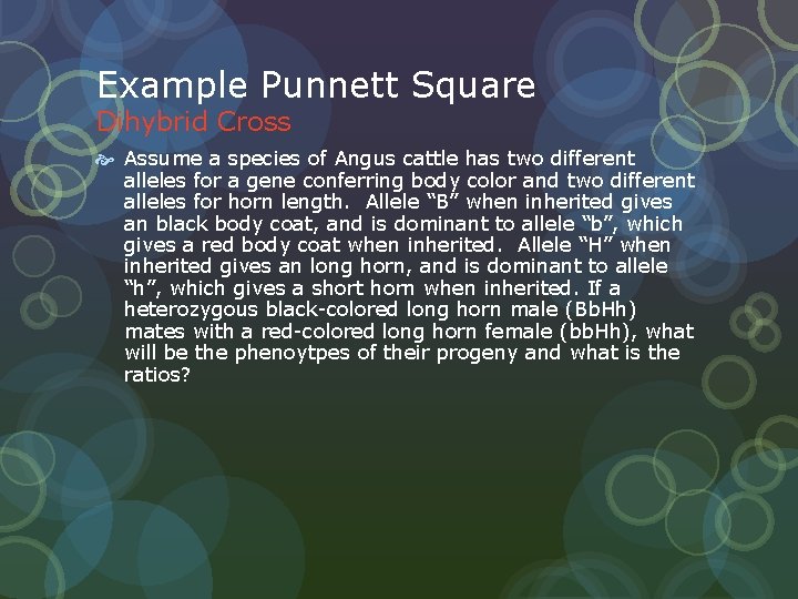 Example Punnett Square Dihybrid Cross Assume a species of Angus cattle has two different