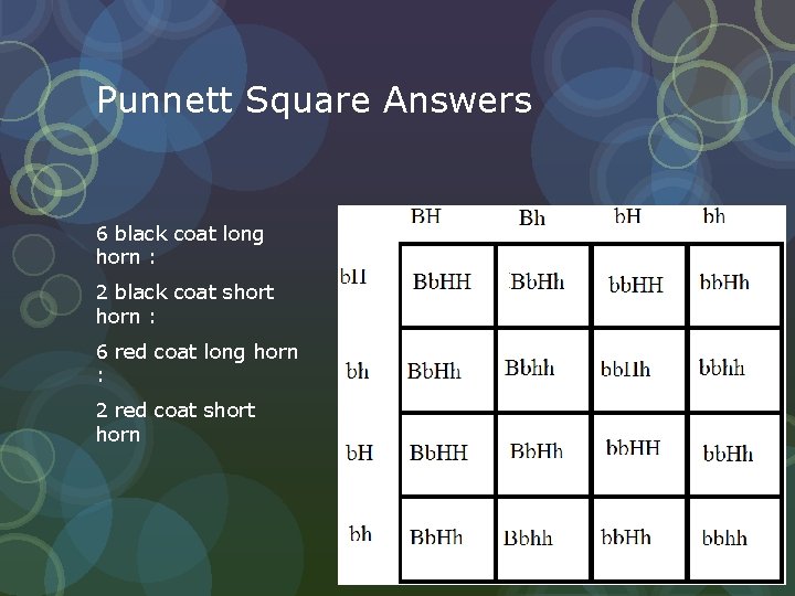 Punnett Square Answers 6 black coat long horn : 2 black coat short horn