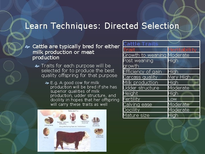 Learn Techniques: Directed Selection Cattle are typically bred for either Cattle Traits Trait Heritability