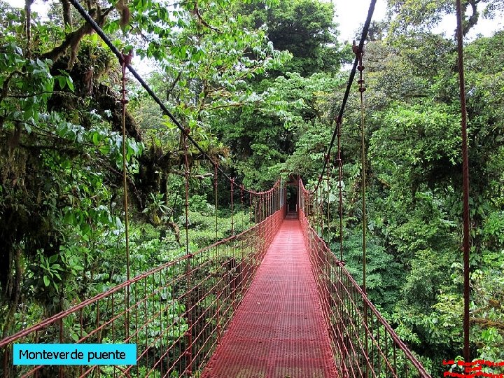 Monteverde puente 