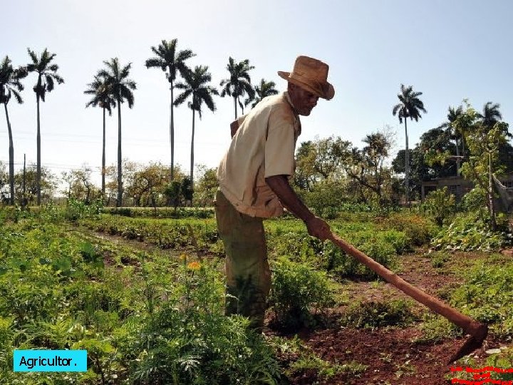 Agricultor. 