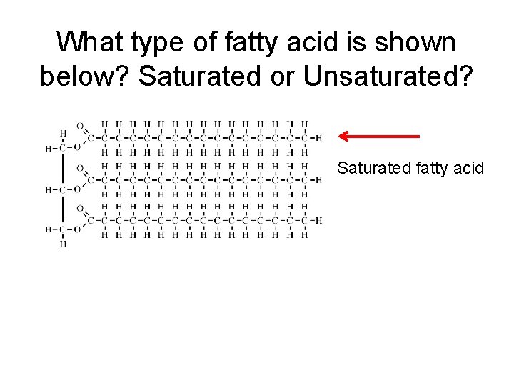 What type of fatty acid is shown below? Saturated or Unsaturated? Saturated fatty acid