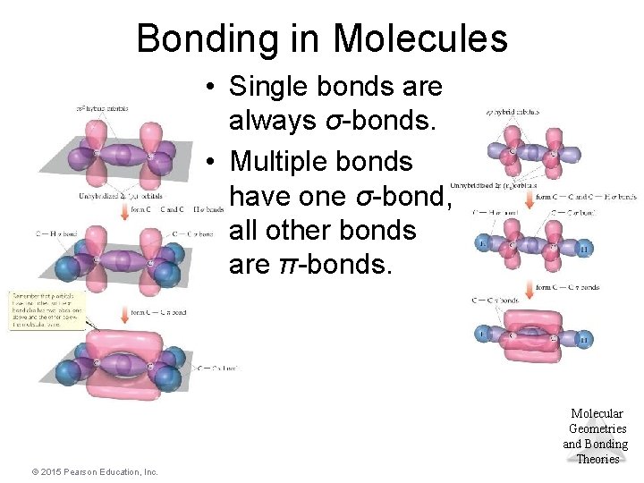 Bonding in Molecules • Single bonds are always σ-bonds. • Multiple bonds have one